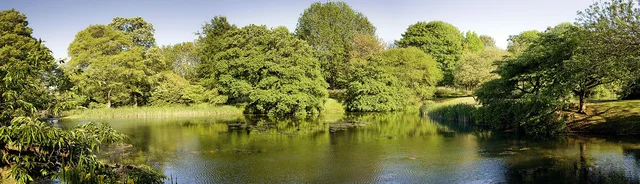 A panoramic view of still water bordered by mature trees and bright green foliage.