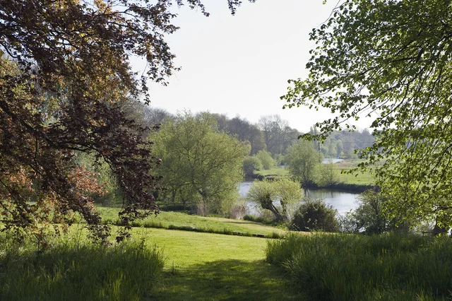 A green lawn slopes towards water, framed by mature trees and overhanging branches.
