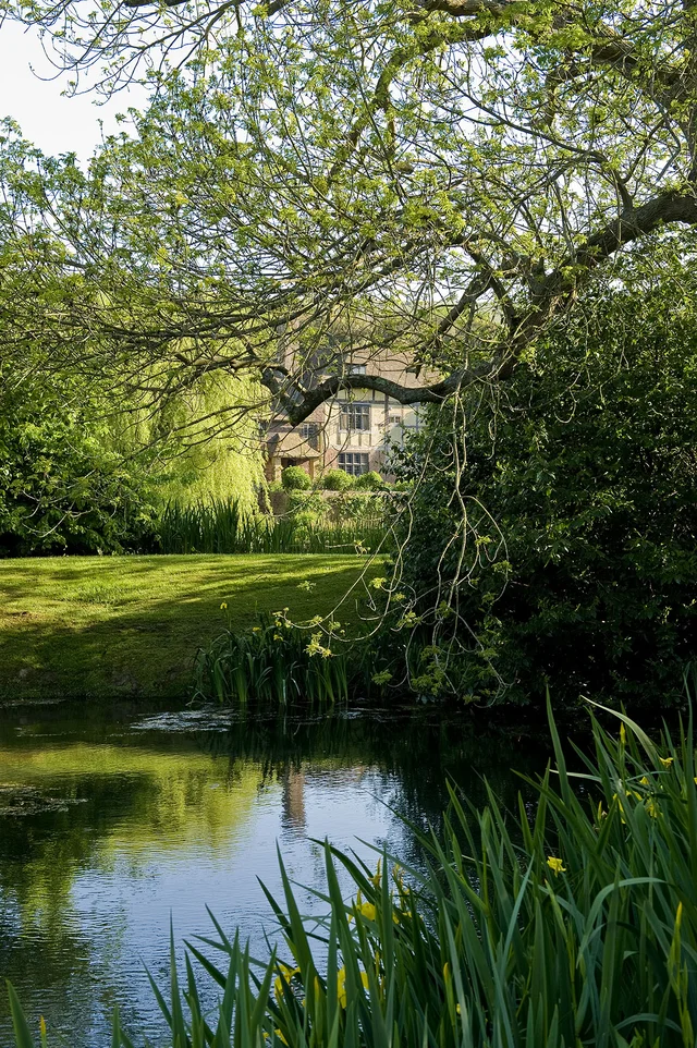 A house is glimpsed between leafy branches beyond a pond edged with reeds.