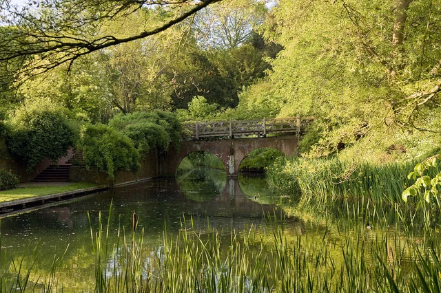 An arched bridge spans still water, framed by fresh green trees and reeds.