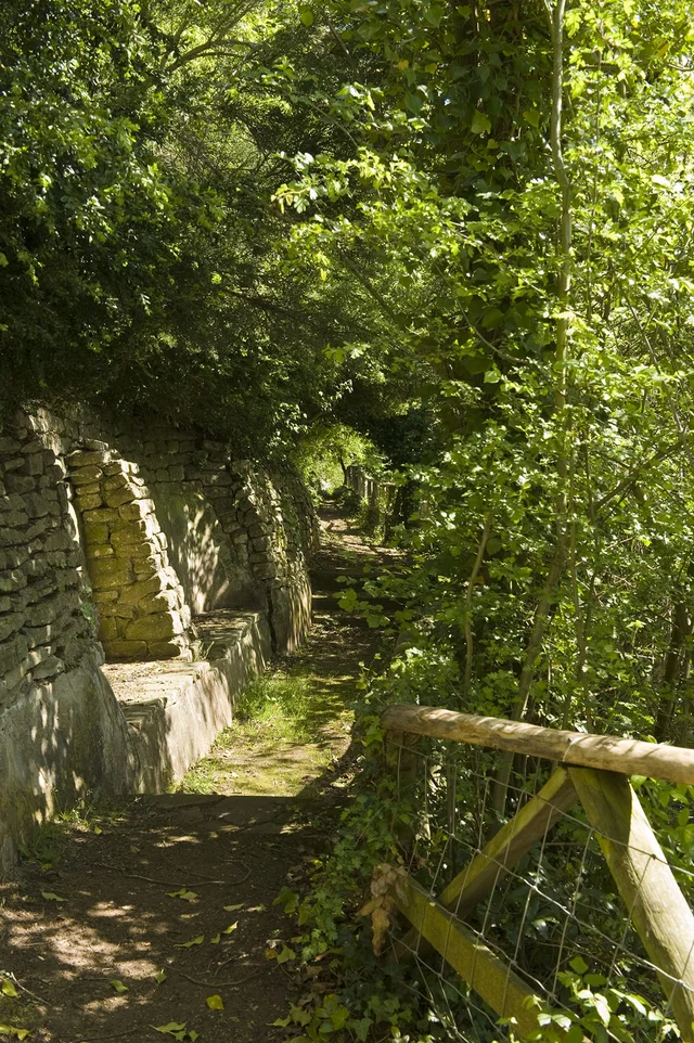 A narrow shaded path runs beside a stone wall and a rustic wooden handrail beneath dense green foliage.