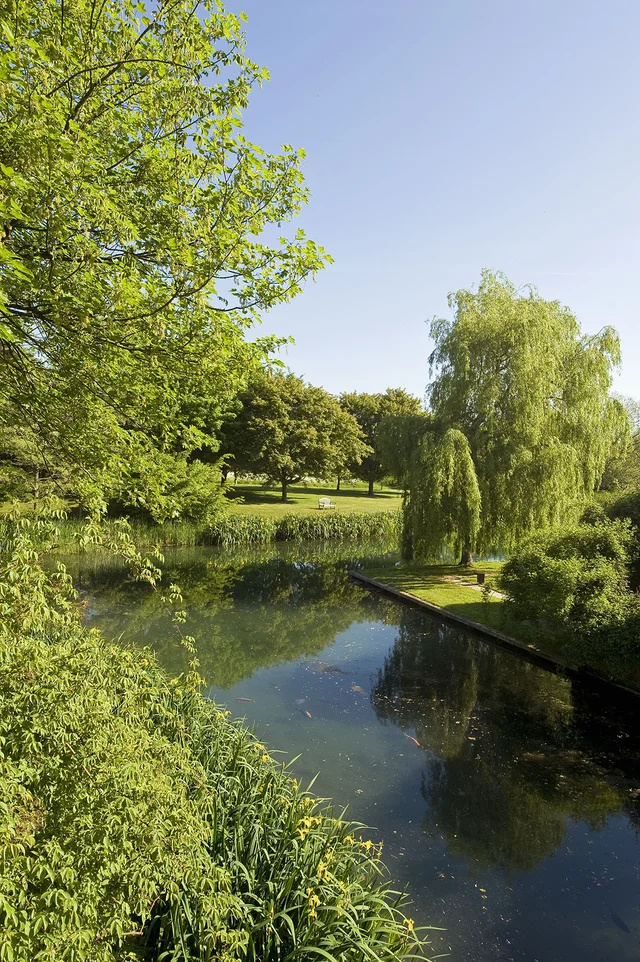 A narrow waterway curves beside leafy banks, with a weeping willow hanging over the far side.